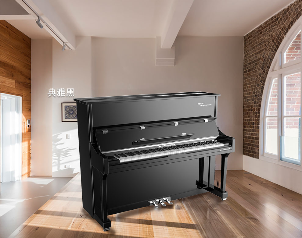 哈罗德钢琴X-1原装进口121高度立式钢琴 典雅黑